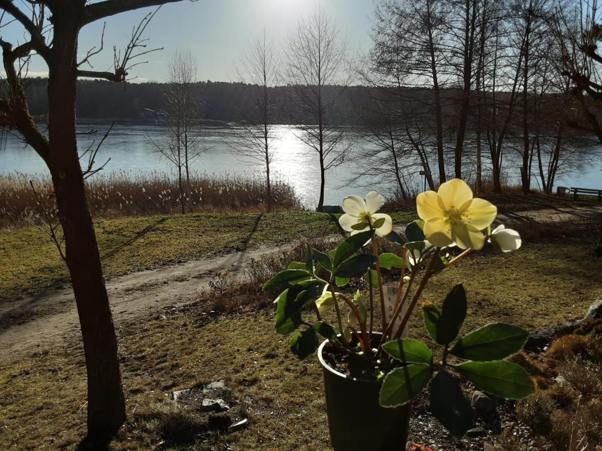 Hotel Und Restaurant Karpfenschaenke Schenkendobern Luaran gambar